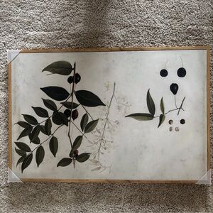 Botanical Wall Art with Black and Green Leaves